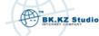 Компания "BK.KZ Studio"