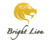 Компания "Bright Lion"